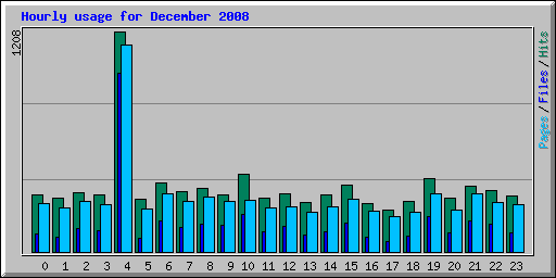 Hourly usage for December 2008