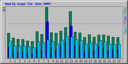Hourly usage for June 2009
