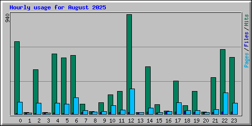 Hourly usage for August 2025