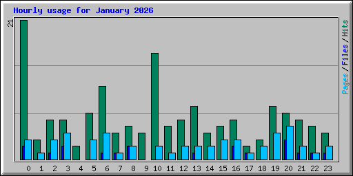 Hourly usage for January 2026